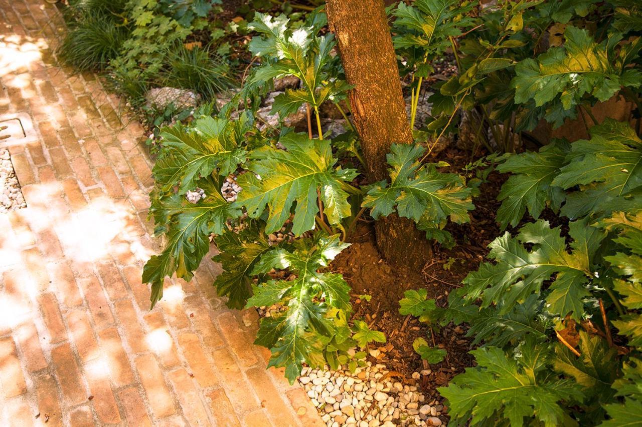 Urban Jungle Lejlighed Bologna Eksteriør billede