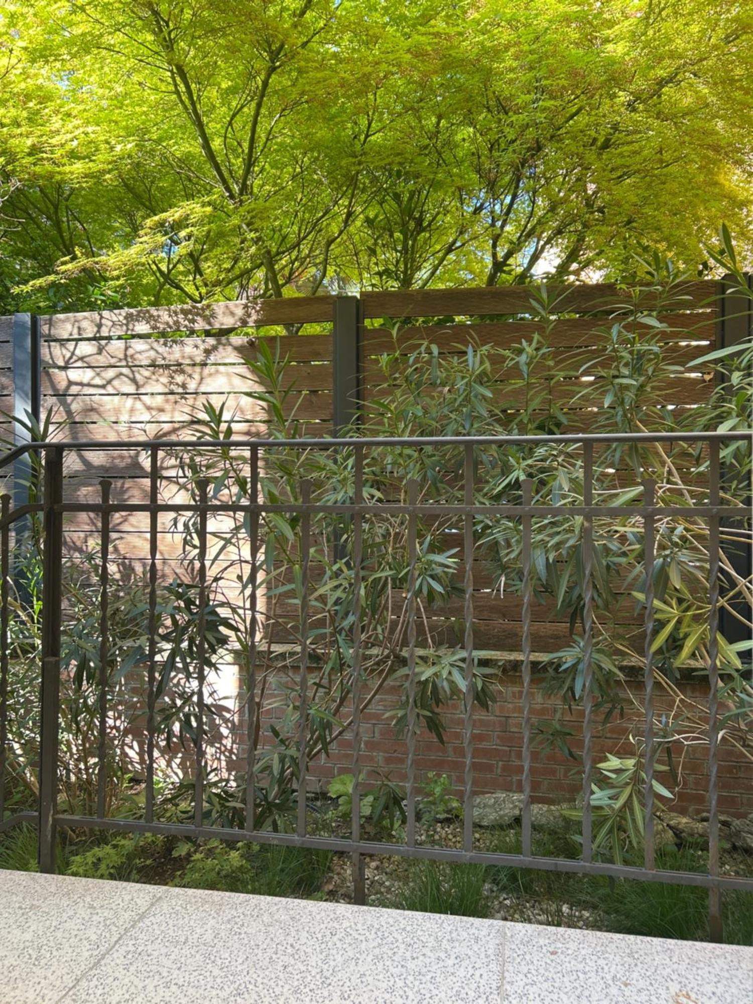 Urban Jungle Lejlighed Bologna Eksteriør billede